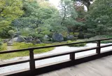 正伝永源院（期間限定公開）