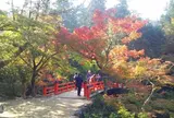 紅葉谷公園
