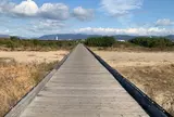 流れ橋（上津屋橋）