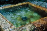 水都・大垣の湧き水