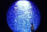 鶴岡市立加茂水族館