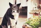 のほほんカフェ ボワ・ジョリ