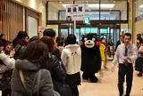 テトリアくまもと
