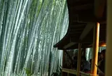 報国寺（竹寺）