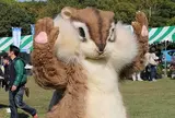 千葉共同組合フェスティバル