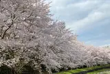 渡瀬橋
