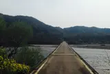 佐田沈下橋