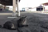 那珂湊駅