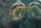 鳥羽水族館