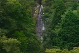 不動の滝