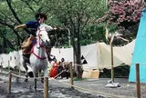 隅田公園