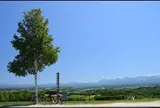 ５日目 美瑛〜富良野〜苫小牧
