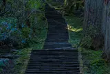 羽黒山のスギ並木