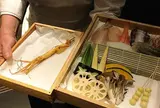 天ぽら 初穂(はつほ) HATSUHO
