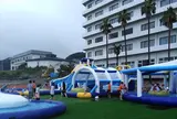 勝浦市