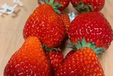 吉澤いちご園