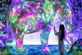 teamLab Forest / チームラボフォレスト – SBI証券