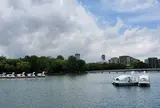 大濠公園 ボート乗り場