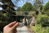 三井寺