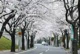 あざみ野駅