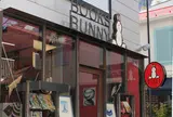 BOOKS BUNNY