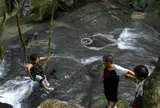 的様