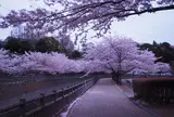 北部公園