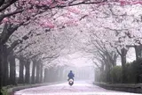七谷川・和らぎの道