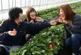 イチゴ狩り