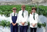 大洗ベリーズ