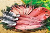 山安 ハルネ小田原店