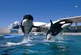 鴨川シーワールド