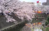 観音橋