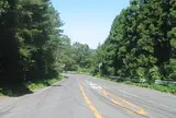 フルーツライン
