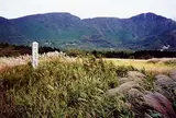 仙石原湿原植物群落