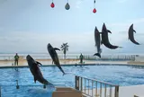 マリンワールド海の中道