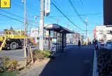 南花小金井