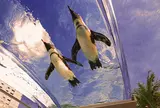 サンシャイン水族館