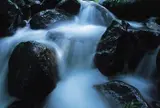 杜々の森名水公園