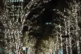 丸の内仲通り