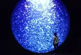 鶴岡市立加茂水族館