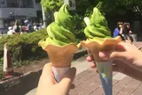 鎌倉茶々