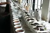 紅茶専門店　エヴァーグリーン