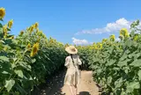 ひまわり村