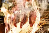 わら焼き鰹たたき 明神丸 高松店