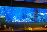 シーフードレストランメヒコ東京ベイ有明店