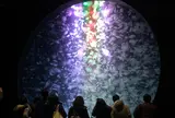 加茂水族館（バス）
