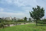 西郷山公園