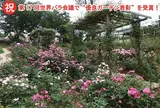佐倉草ぶえの丘
