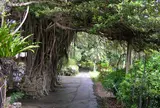 ユンヌ楽園